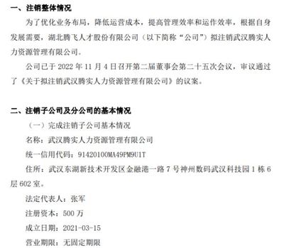 騰飛人才擬注銷武漢騰實(shí)人力資源管理